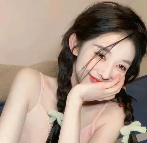 宝可梦:目标是宝可梦大师